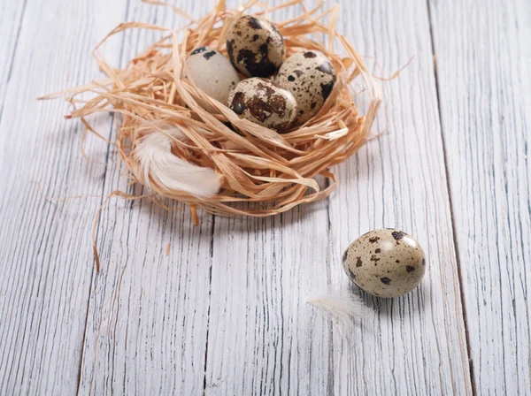 Huevos de codorniz — Foto de Stock