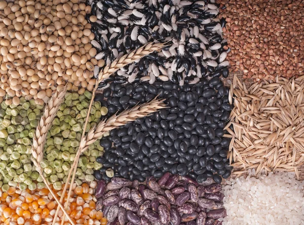 Cereal grains — Stock Photo, Image