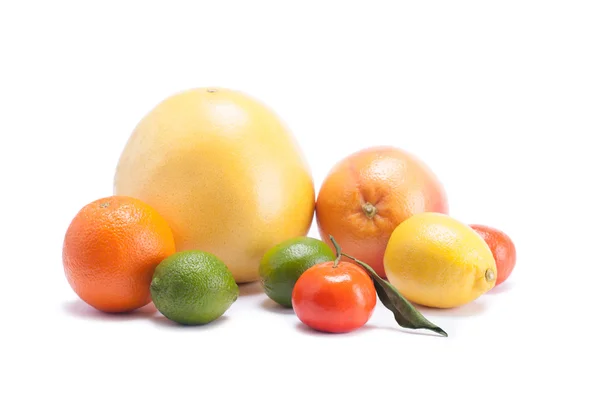 Citrusfrukter — Stockfoto