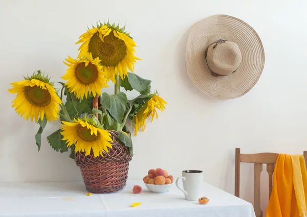 Sonnenblume — Stockfoto