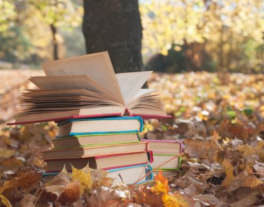 Kitap yığını 