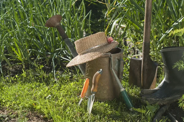 Narzędzia ogrodnicze — Zdjęcie stockowe