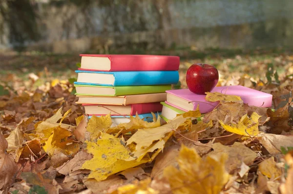 Pila de libros — Foto de Stock