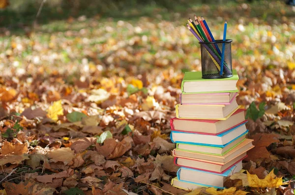 Pila de libros — Foto de Stock