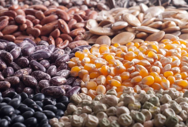 Cereal grains , seeds, beans — Stock Photo, Image