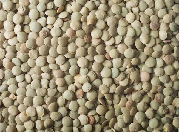 小扁豆 — 图库照片