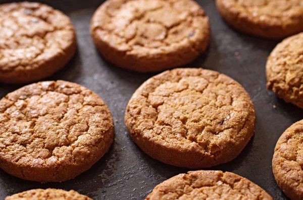 Cookies — Stock Photo, Image