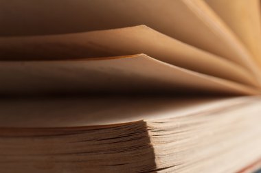 Kitap sayfalarının görünümü