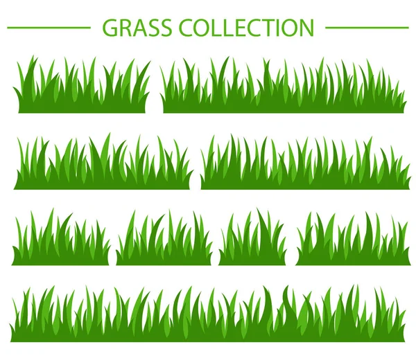 Collezione erba verde — Vettoriale Stock