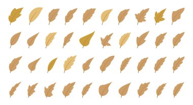 Sonbahar yaprakları.