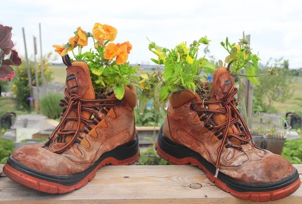 Old mountain boots — Stock Photo, Image