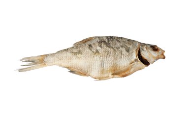 Kurutulmuş balık çipura.