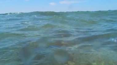 Hazar Denizi videografisi.