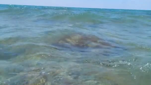 Vidéo de la mer Caspienne . — Video