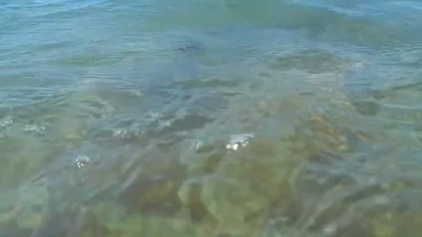 Kaspische Meeresvideographie. — Stockvideo