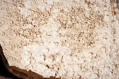 Yüzey kumlu kayası. Hazar Denizi 'nin kayalık kıyısı.