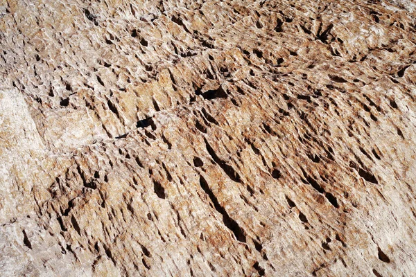 Povrchová Písčitá Skála Skalnaté Pobřeží Kaspického Moře — Stock fotografie