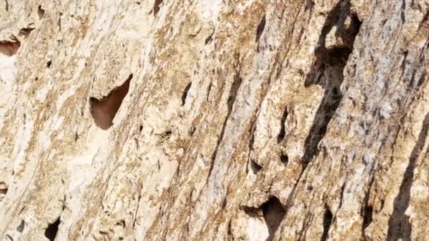 Oberfläche Sandiger Felsen Felsige Küste Des Kaspischen Meeres — Stockvideo