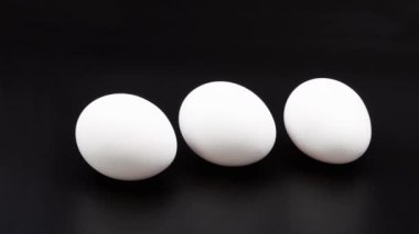 Beyaz tavuk yumurtası. Yakın plan. Siyah bir arkaplanda.
