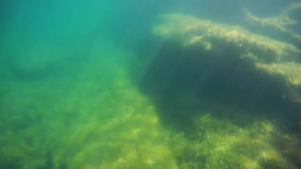 Marche Sous Marine Dans Mer Mer Caspienne Septembre 2020 Année — Video