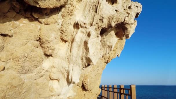 Rocas Orilla Del Mar Caspio Hierba Creciendo Las Rocas — Vídeos de Stock