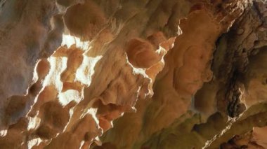 Hazar Denizi kıyısındaki kayalar. Kayalarda büyüyen otlar.