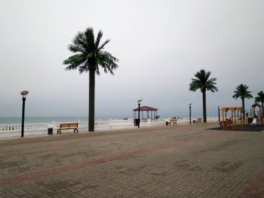 Gezinti güvertesinde yapay palmiye ağaçları. Kazakistan. Mangistau bölgesi. Aktau şehri. 01 Kasım 2019.