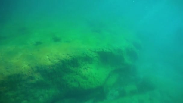 Underwater Landscape Sea Caspian Sea Month May 2021 Year — Stock Video