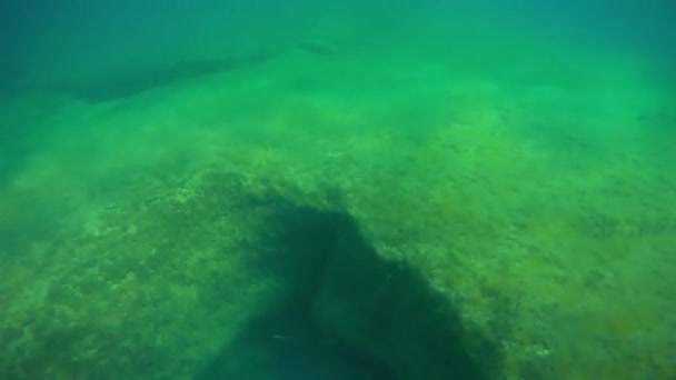 Underwater Landscape Sea Caspian Sea Month May 2021 Year — Stock Video