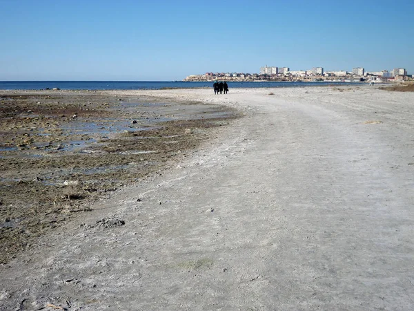 Costa Sabbiosa Del Mar Caspio Kazakistan Regione Mangistau Aktau City — Foto Stock