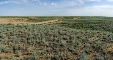 Bozkır Mangistau bölgesinde