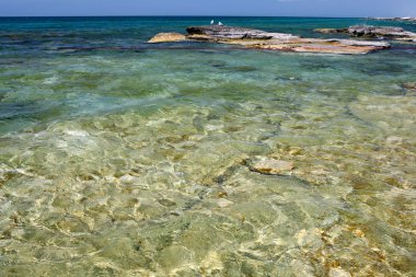Yaz aylarında Hazar Denizi.