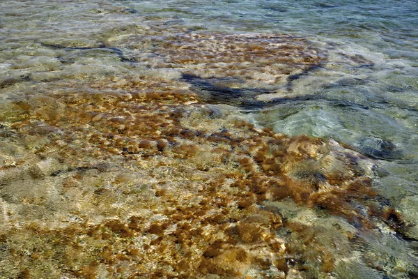 Διαφανή νερού. — Φωτογραφία Αρχείου