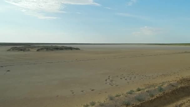 Paisagem do deserto. — Vídeo de Stock