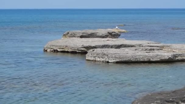 Mar Cáspio . — Vídeo de Stock