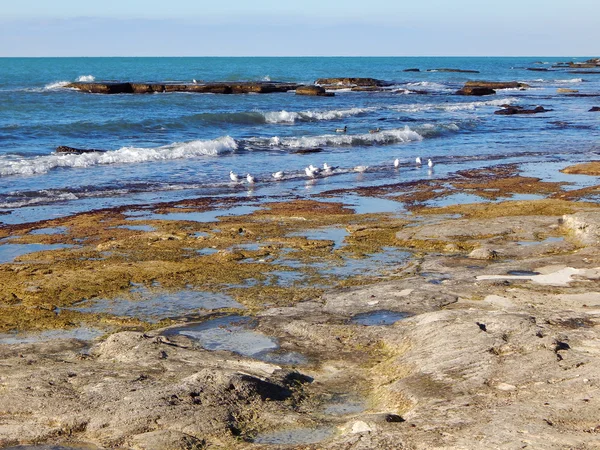 카스피 해의 바위 해안 — 스톡 사진