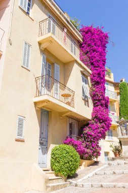 Cannes, Güney Fransa evde