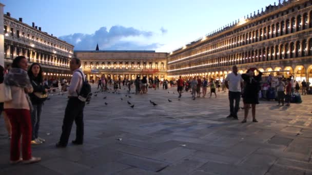 Gece boyunca, Venedik, İtalya, Saint Marks Meydanı yürüme turist — Stok video