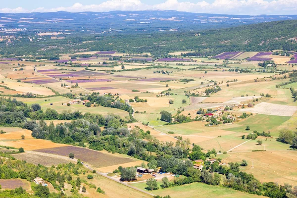 Antenne Lavendelfelder in der Provence, Frankreich — Stockfoto