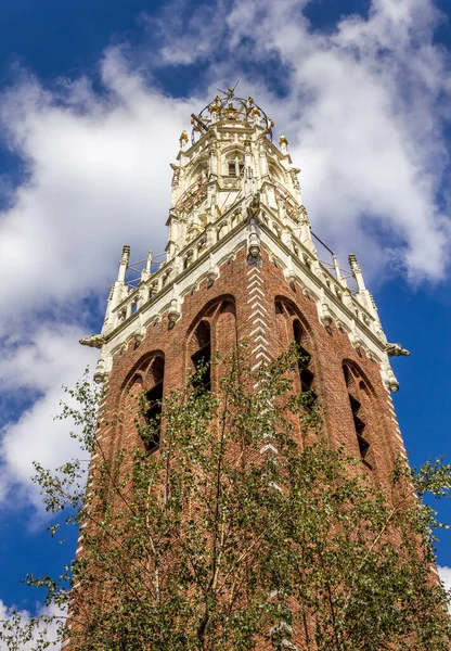 Bakenesserkerk Chruch Haarlem Nederland — Stockfoto