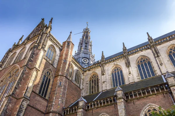 Eglise Saint Bravo Groete Kerk Sur Place Marché Haarlem Pays — Photo