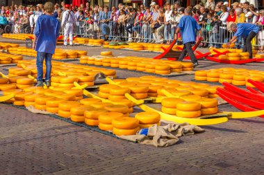 Alkmaar, Hollanda - 7 Eylül 2012: Hollanda 'nın ünlü peynir pazarında birçok peynirle yürüyen taşıyıcılar. Olay Waagplein Meydanı 'nda gerçekleşiyor..