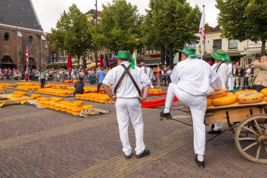 Alkmaar, Hollanda - 7 Eylül 2012: Hollanda 'nın ünlü peynir pazarında birçok peynirle yürüyen taşıyıcılar. Olay Waagplein Meydanı 'nda gerçekleşiyor..