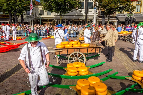 Alkmaar Netherlands September 2012 Carriers Walking Many Cheeses Famous Dutch — Stock Photo, Image