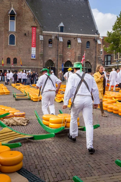 Alkmaar Niederlande September 2012 Kutscher Gehen Mit Vielen Käsesorten Auf — Stockfoto