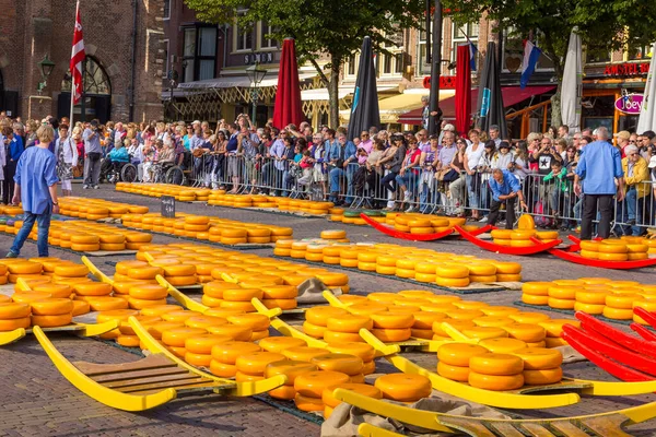 Alkmaar Niederlande September 2012 Kutscher Gehen Mit Vielen Käsesorten Auf — Stockfoto