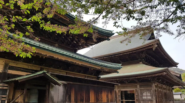 Kenchoji Tempio Più Importante Kamkura Giappone — Foto Stock