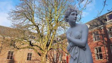 Amsterdam, Hollanda 'daki Hermitage Müzesi' ndeki bahçe.