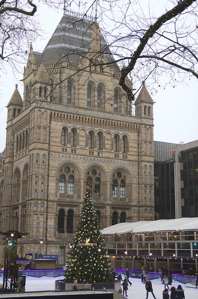 2016年12月17日 伦敦自然历史博物馆 Natural History Museum 举办的圣诞溜冰场 这个著名的博物馆是一座集度假装饰和旅游于一体的城市名胜古迹 — 图库照片
