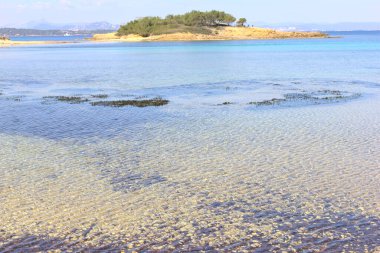 Porquerolles plajı, Fransız Rivierası